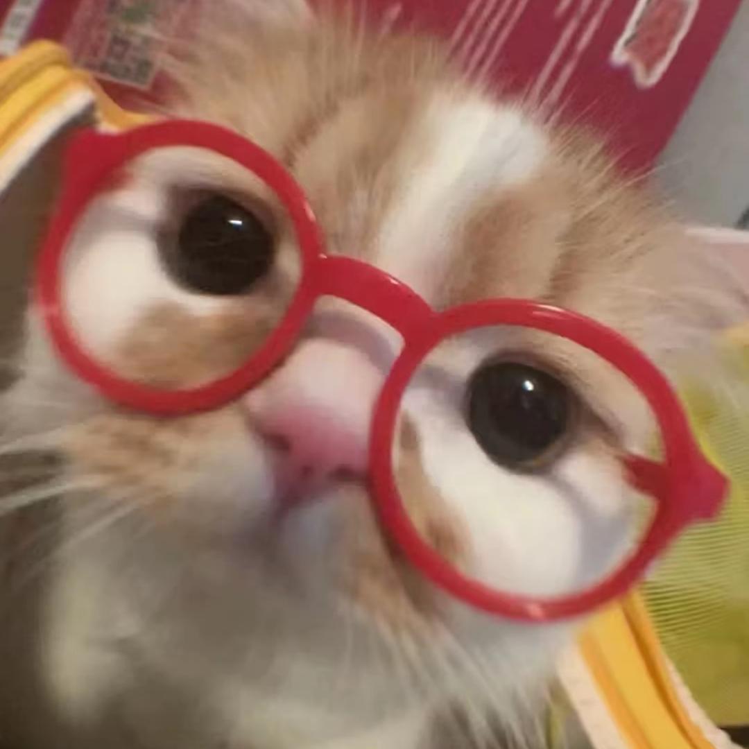 窝呆呆嘟