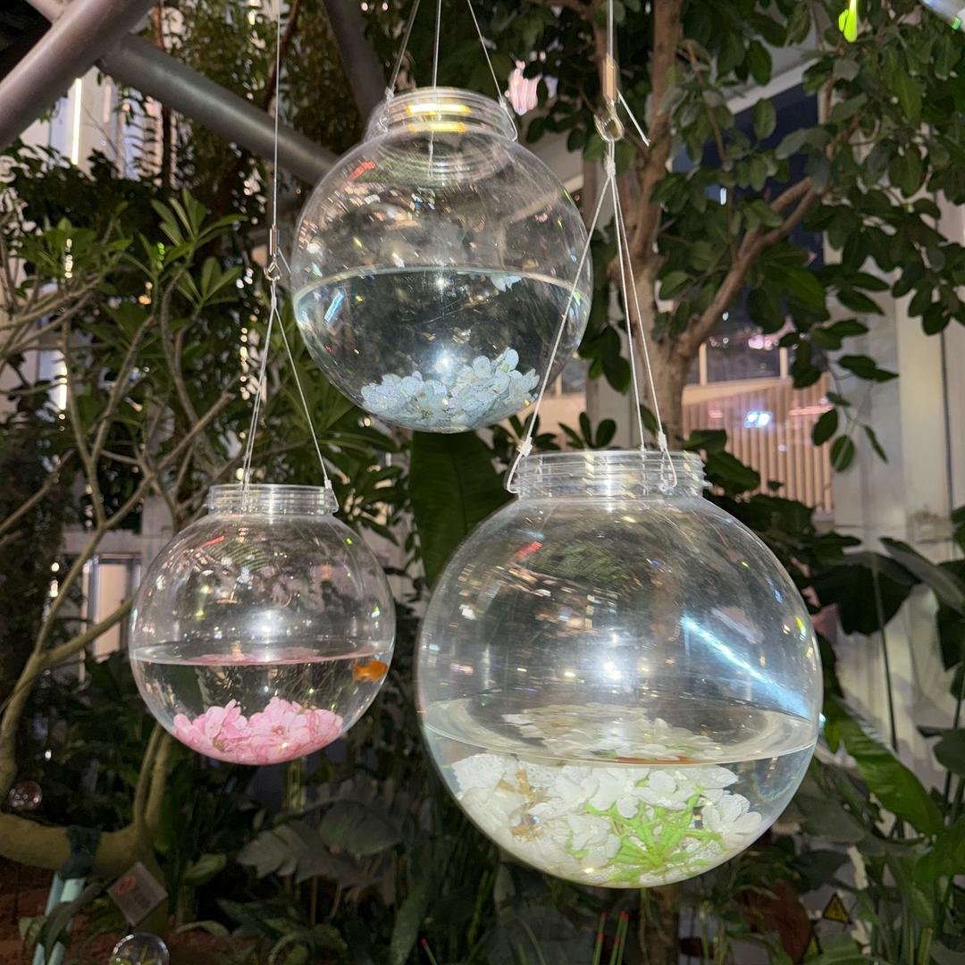 阳光午后百分百