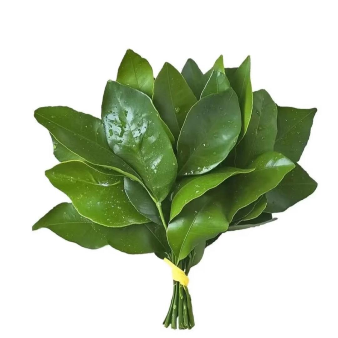 ✋珊珊你一巴掌