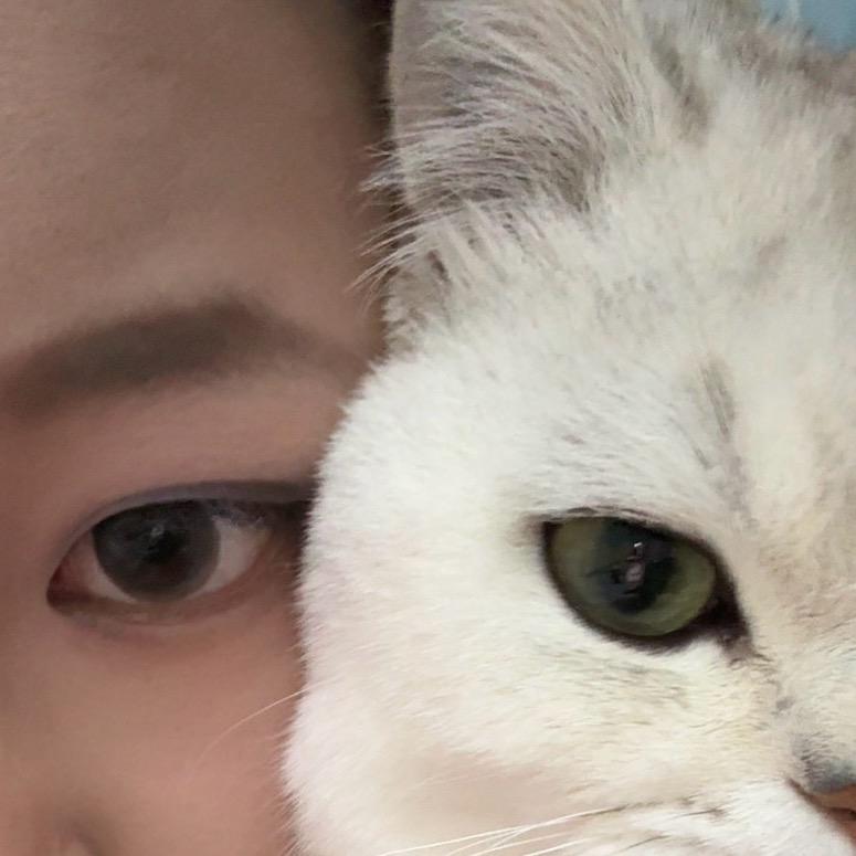 铲子🐱