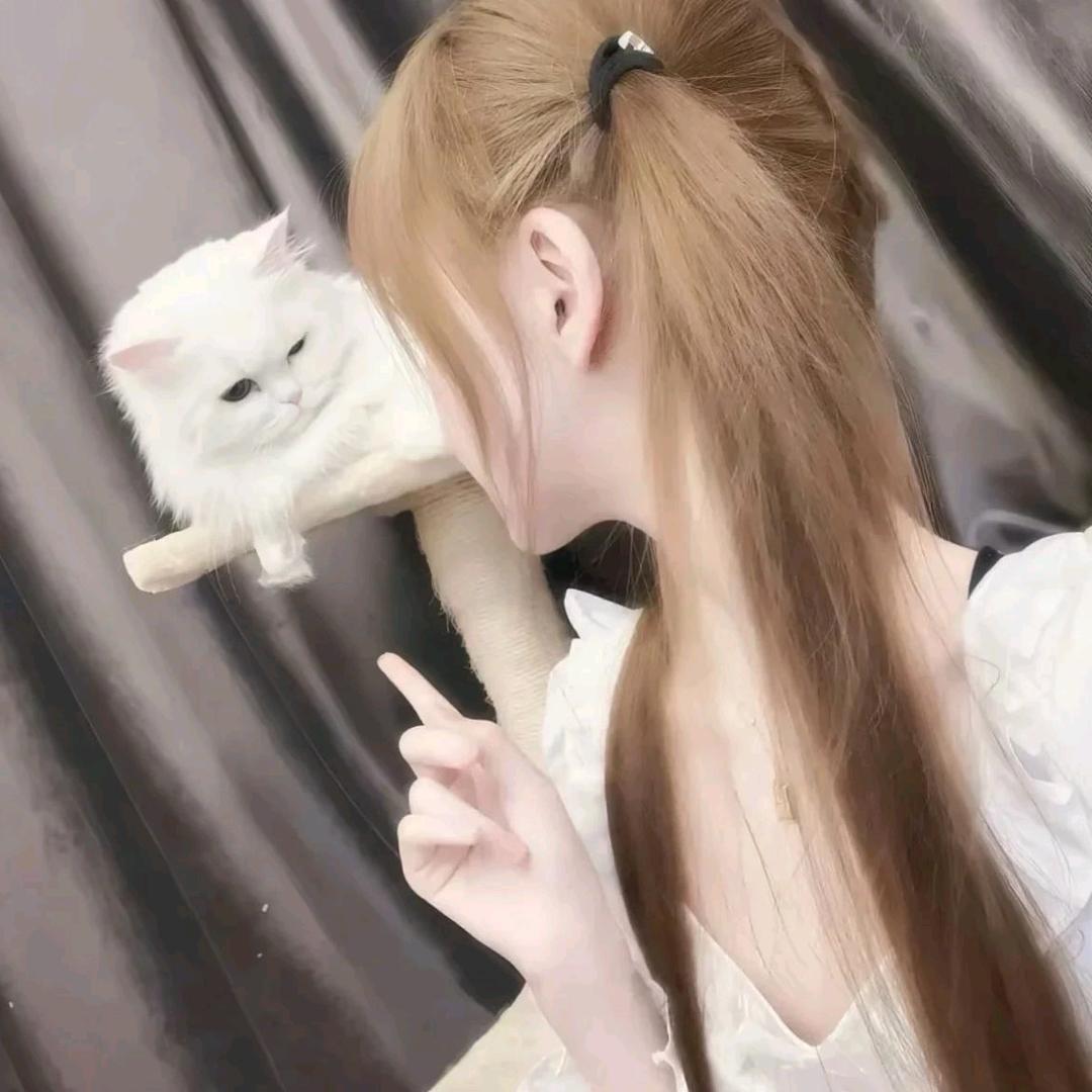 又说废话