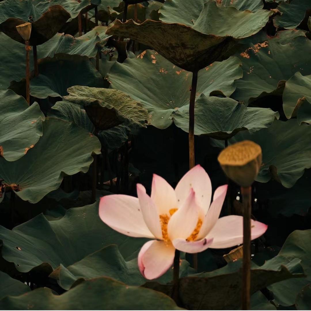 宏越信息咨询（潮汕旅游）