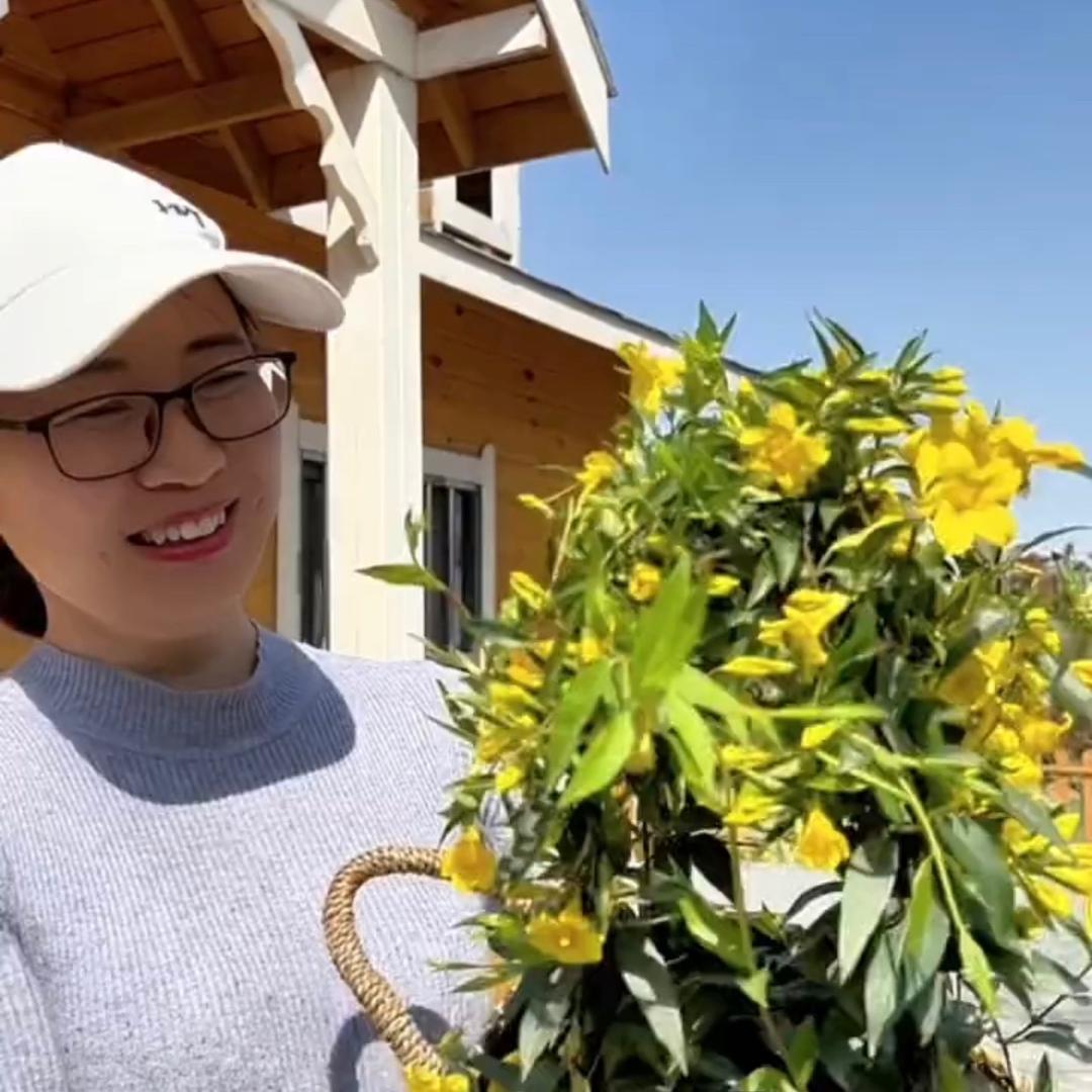 笨笨园艺