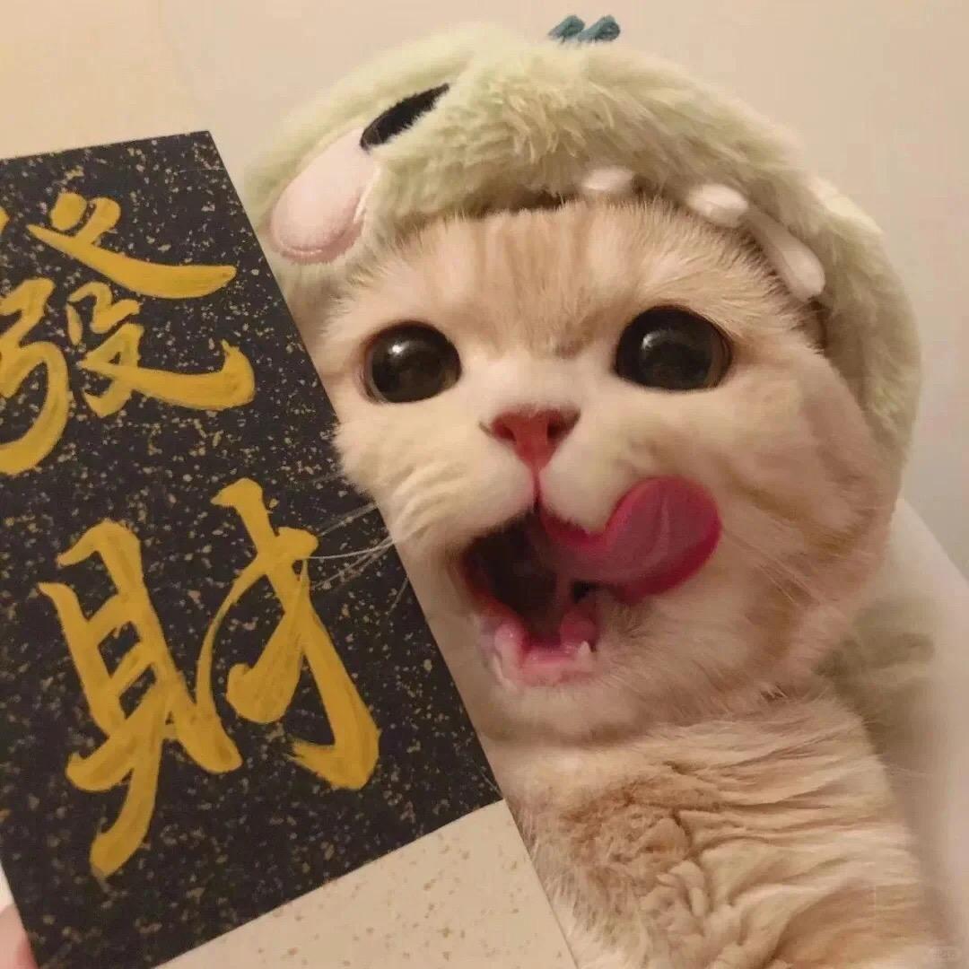 胖虎不二