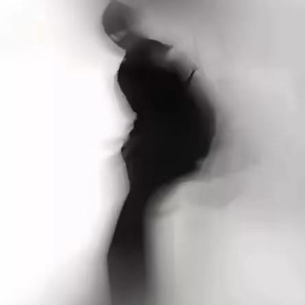 鸭嘴兽