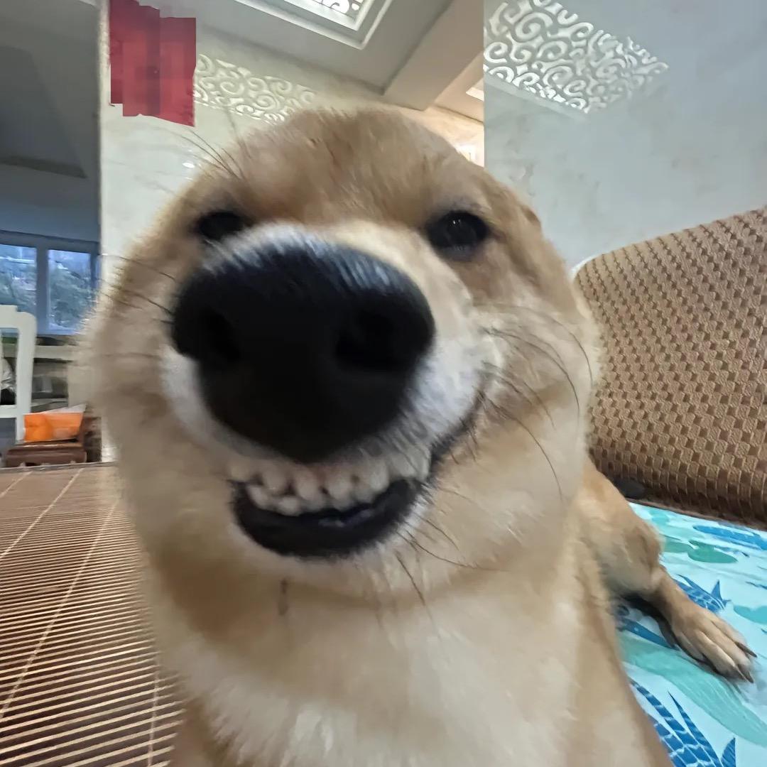 阅目