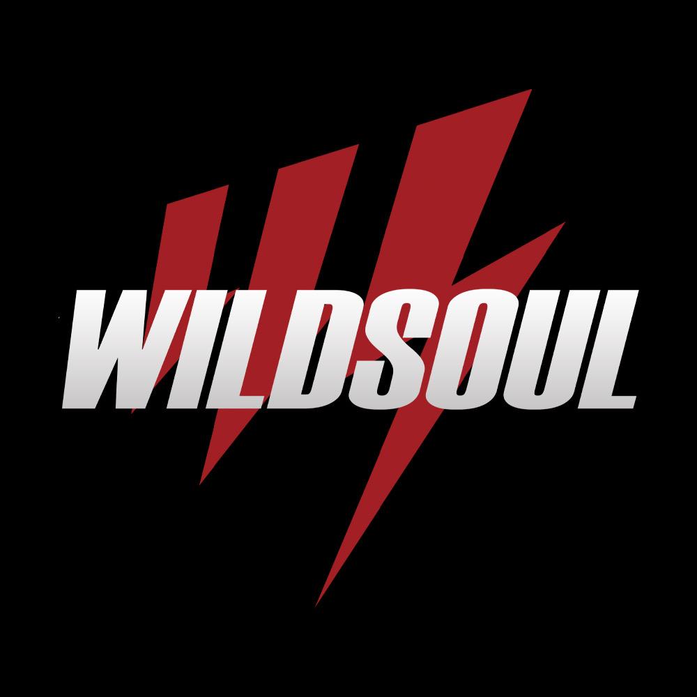 WILDSOUL服饰旗舰店
