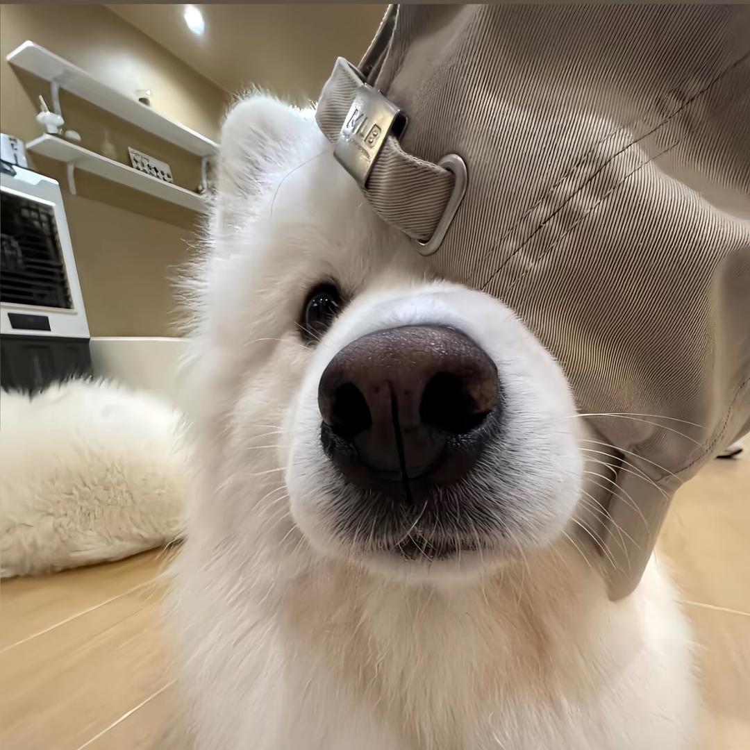 林即渊