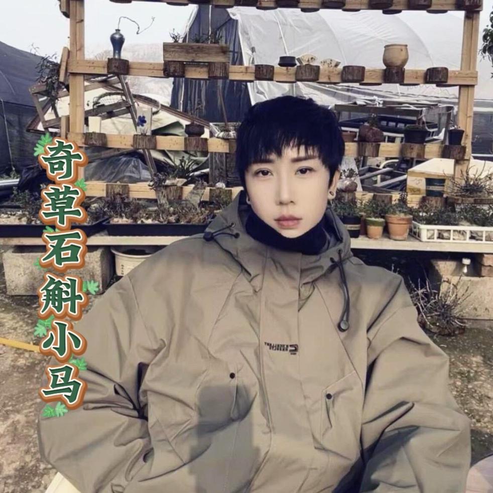 乐清市大荆马氏石斛商行