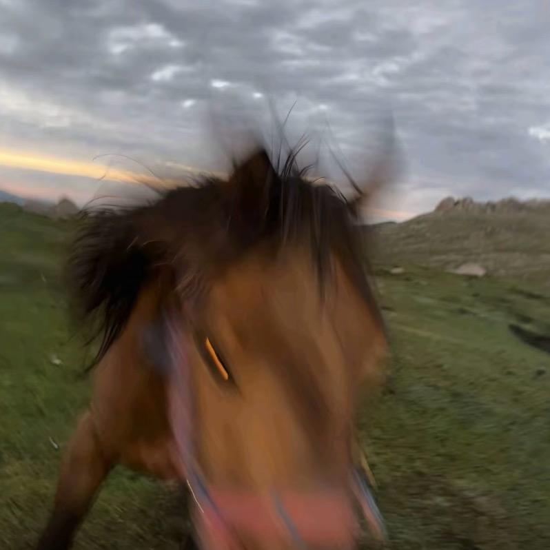 青青草原黑大帅
