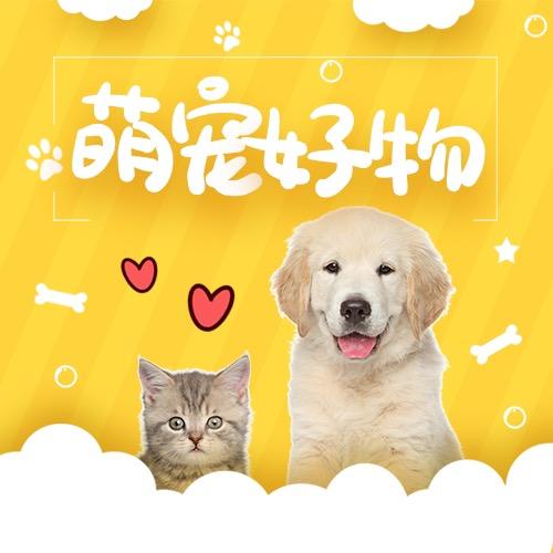 昕毅萌宠好物