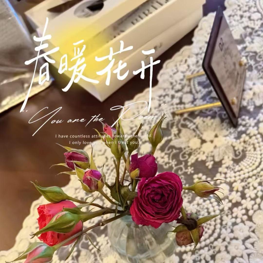 精彩夜未央