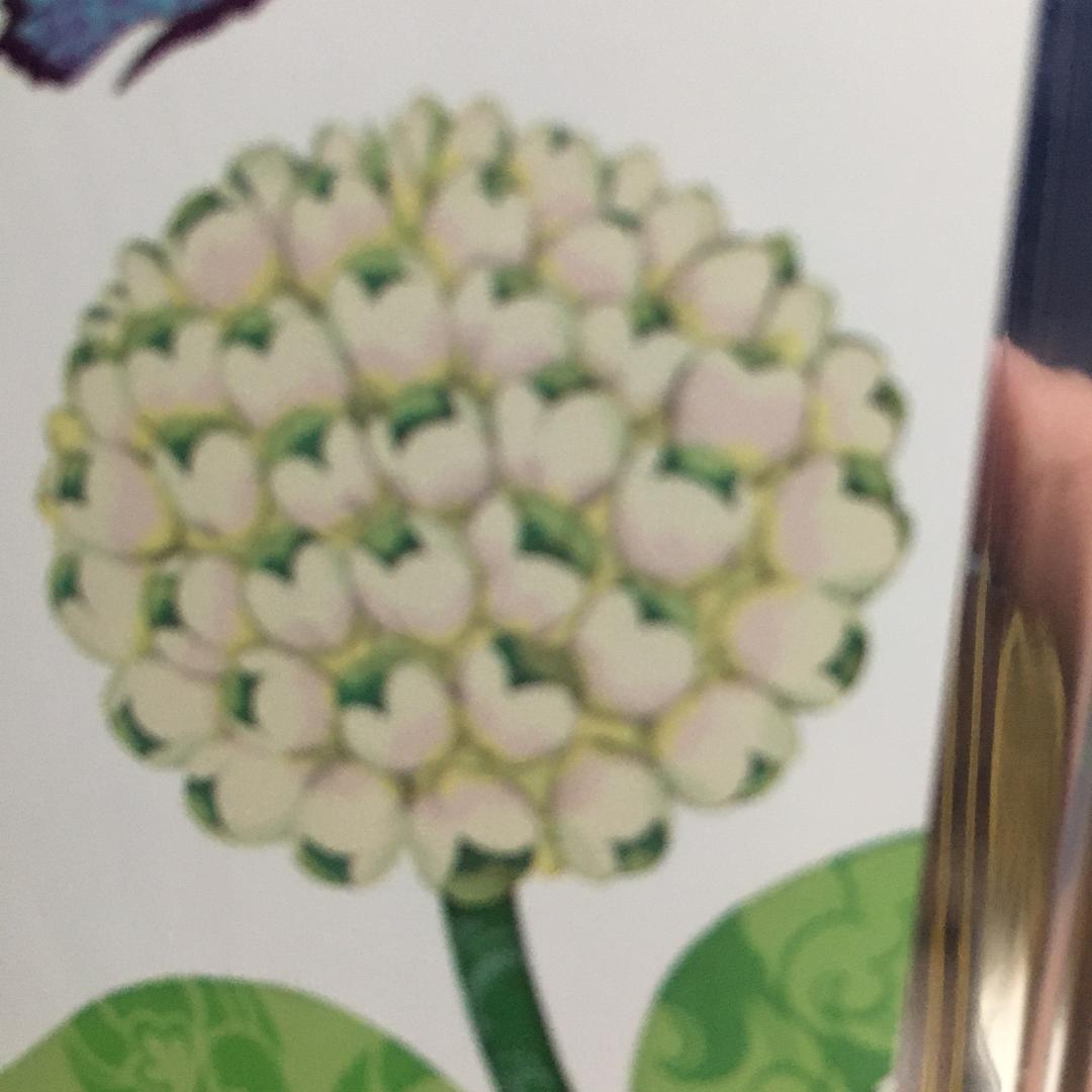 回馈粉丝福利庆典