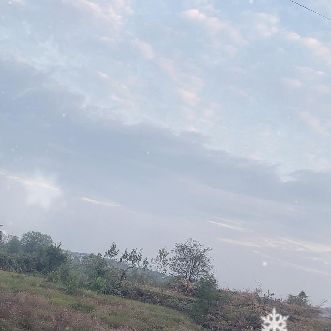 养生
