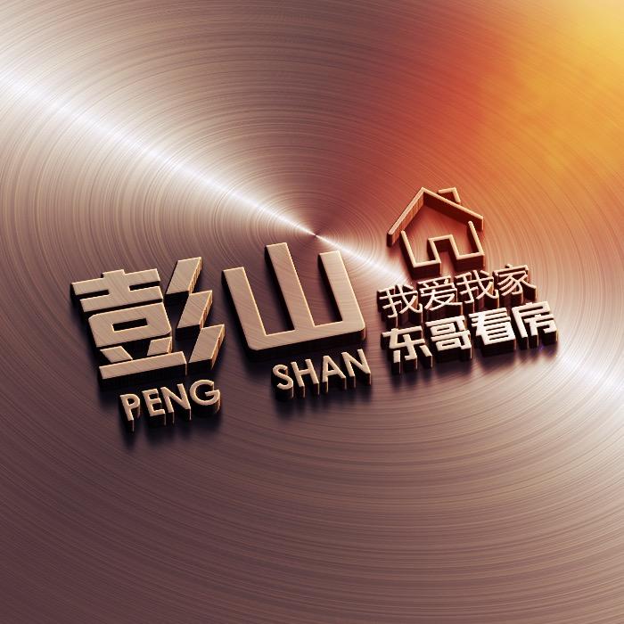 彭山东哥讲房