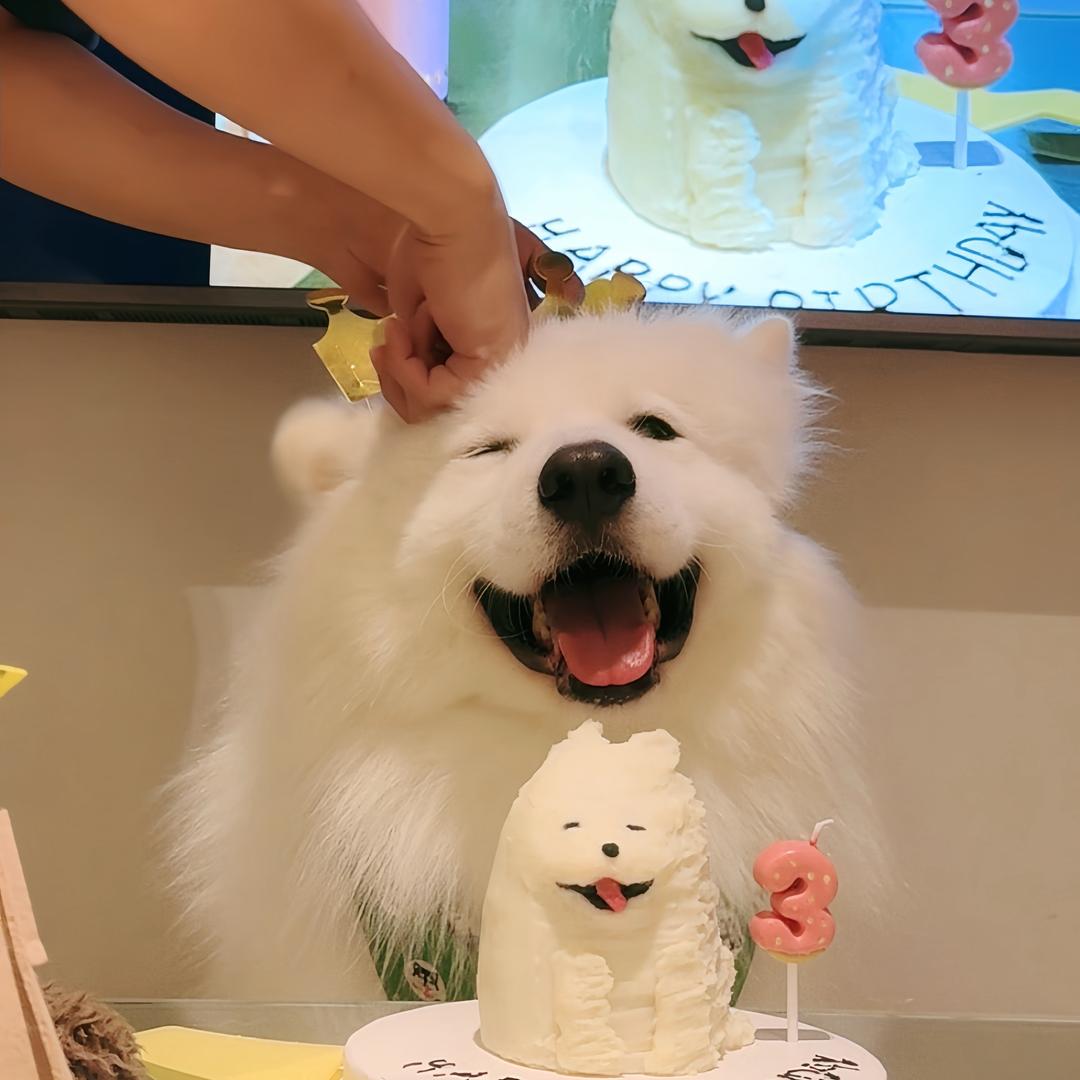 朱蛋蛋啊