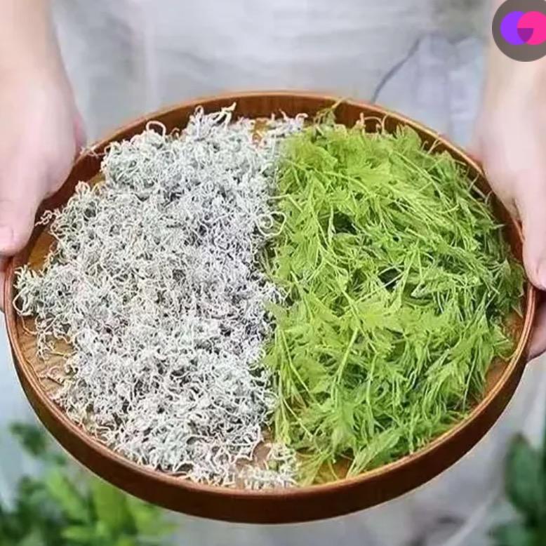 洛雨三星茶叶专卖店