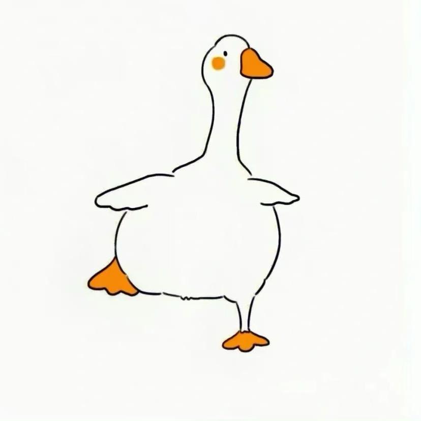 大鹅🪿