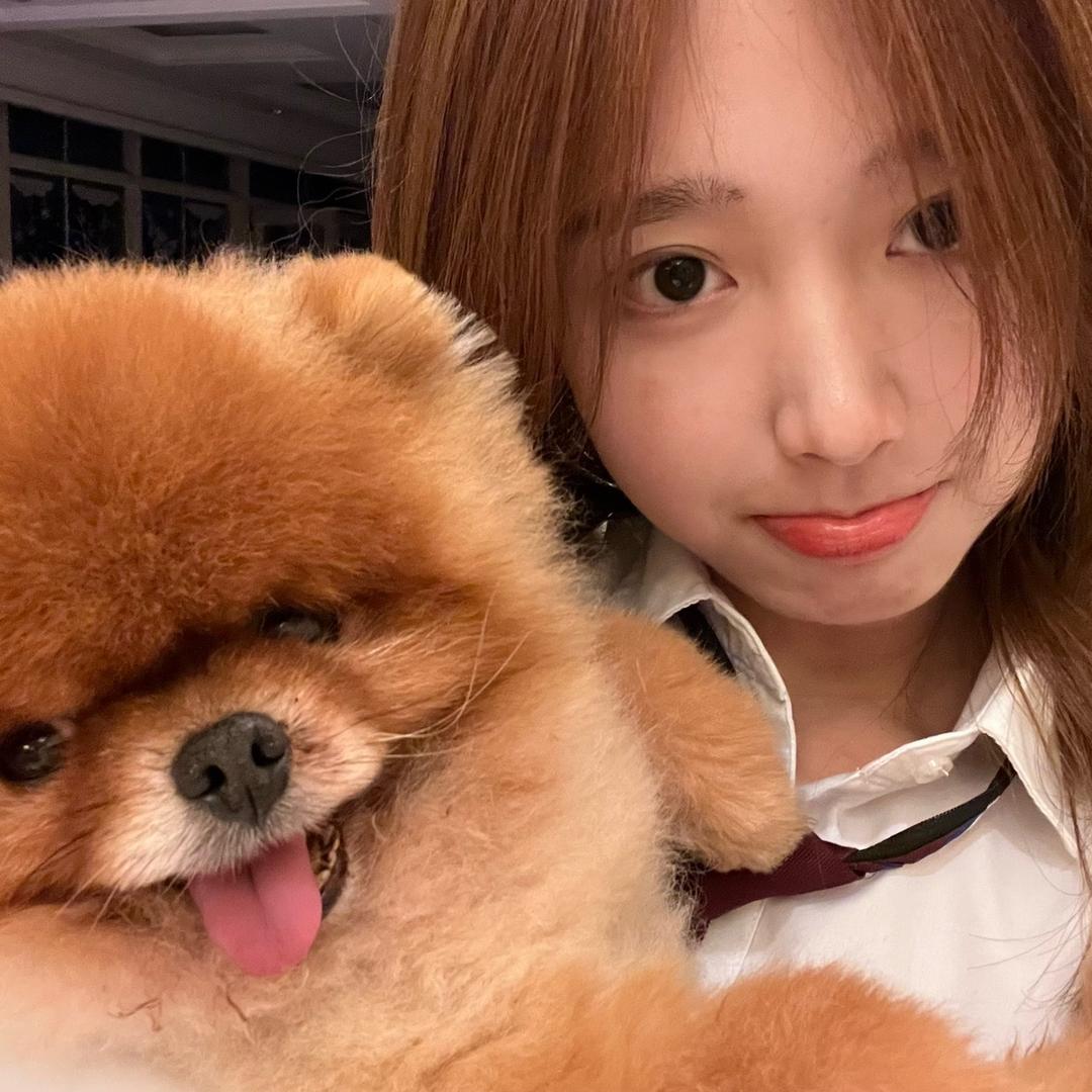 我是贾丝