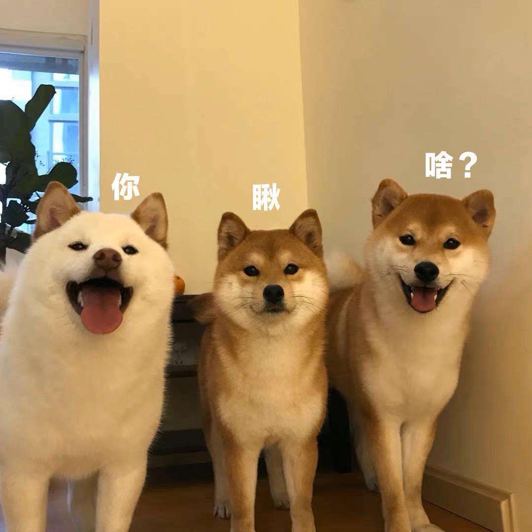 宁小千