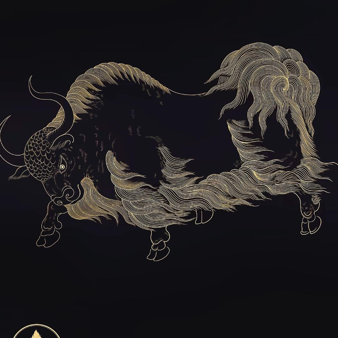 高原牦牛🦬