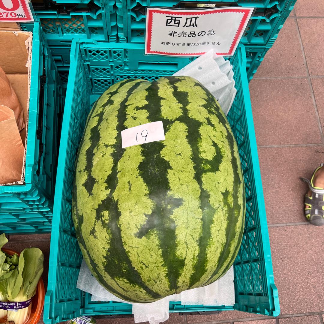 王大可在日本