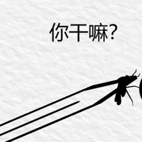 陈昭昭