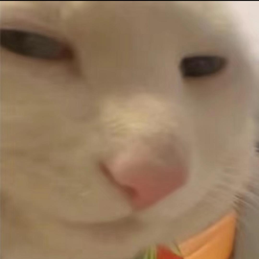 纯白滴蛋