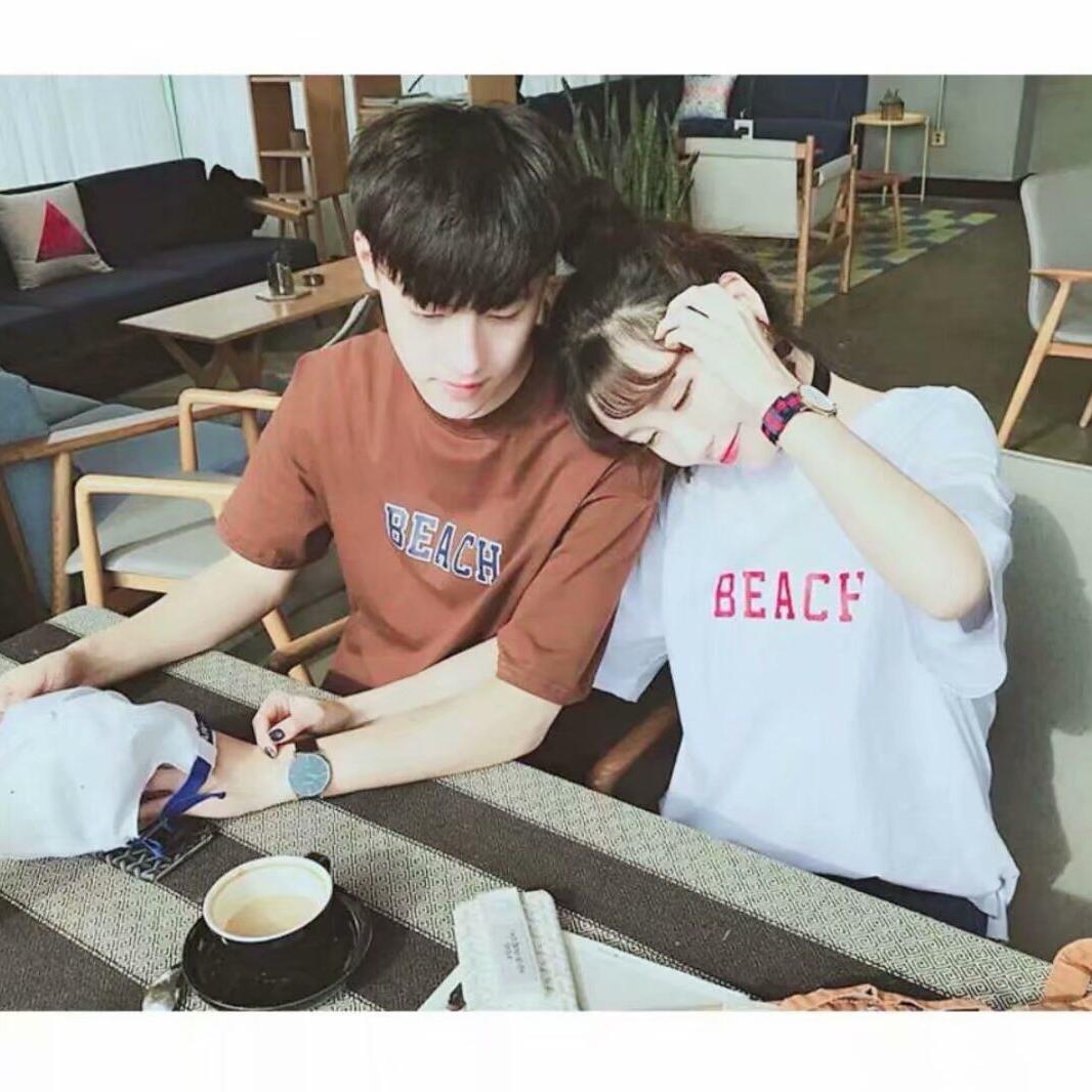 ✨星星的小猪✨