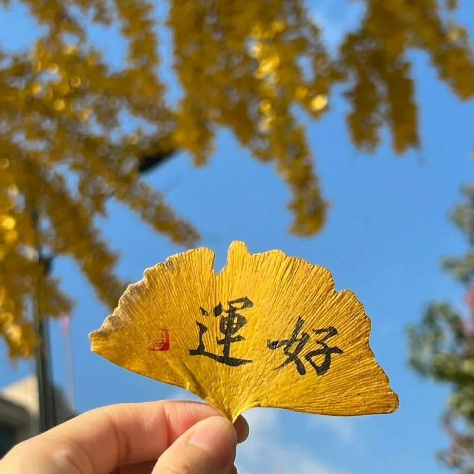 玖亿玖百货商行