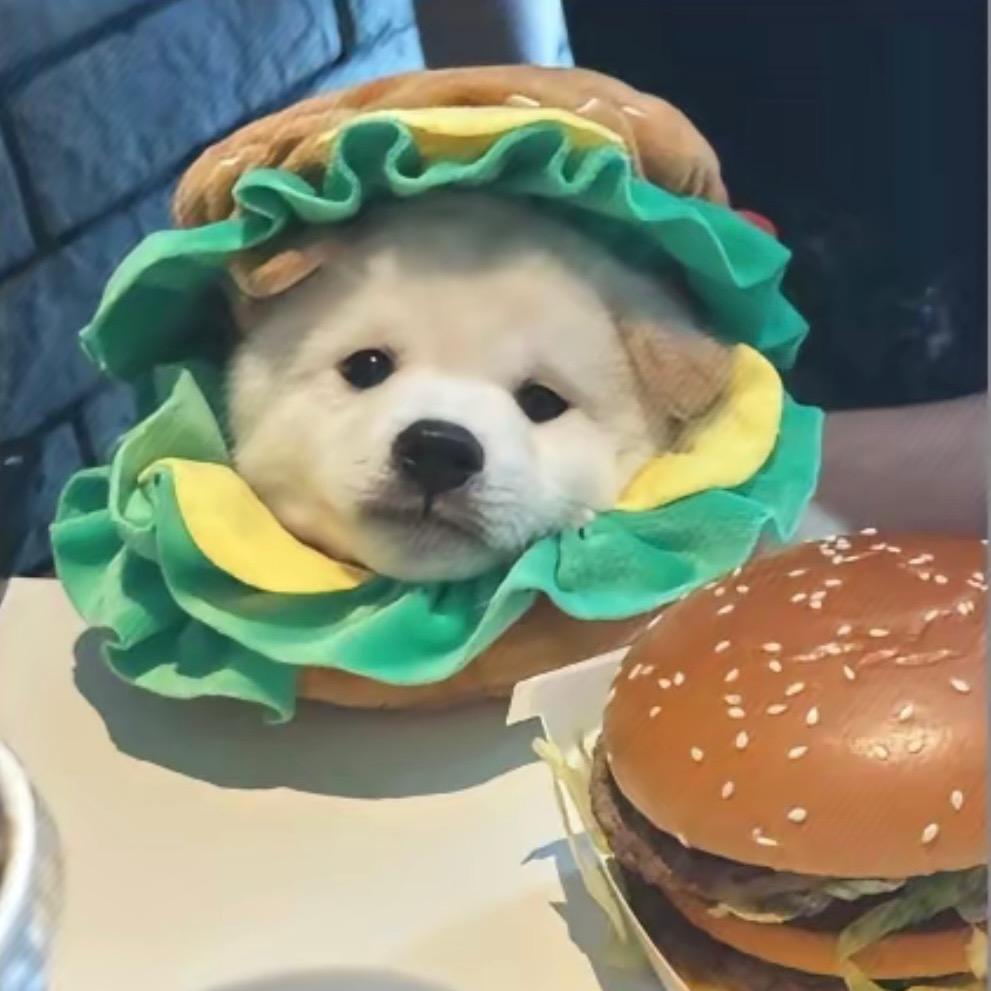 汉堡.🍔