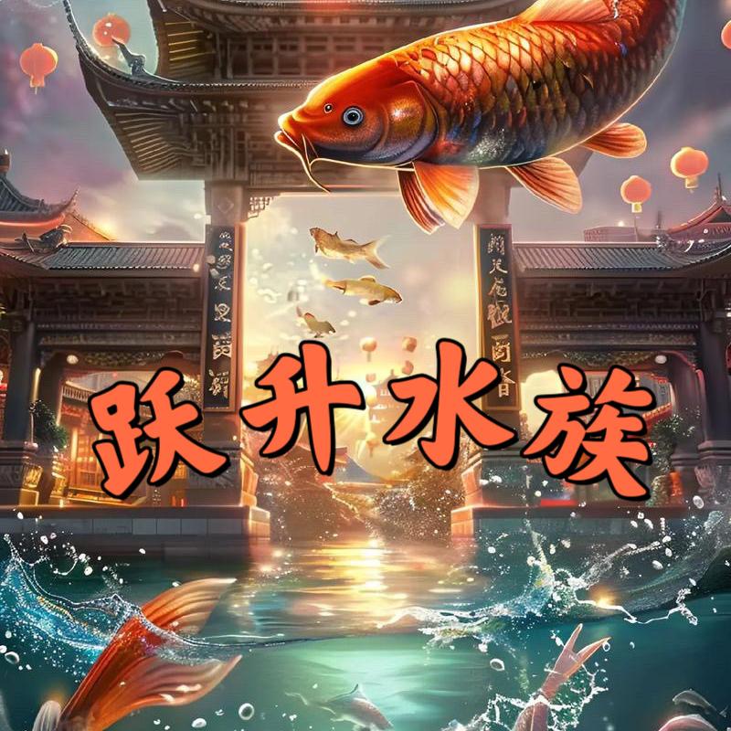跃升水族