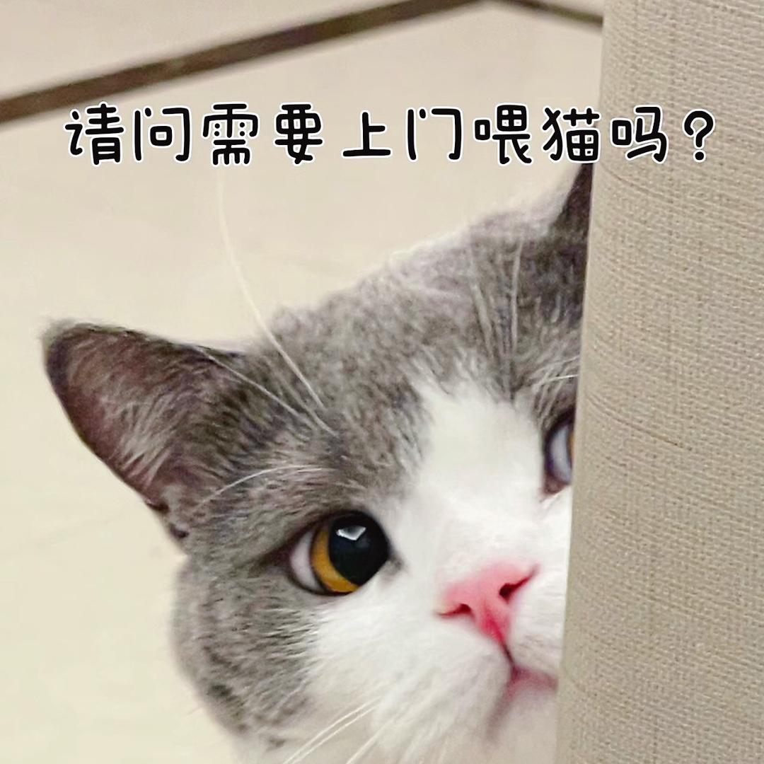 莆田－上门铲屎官🐈