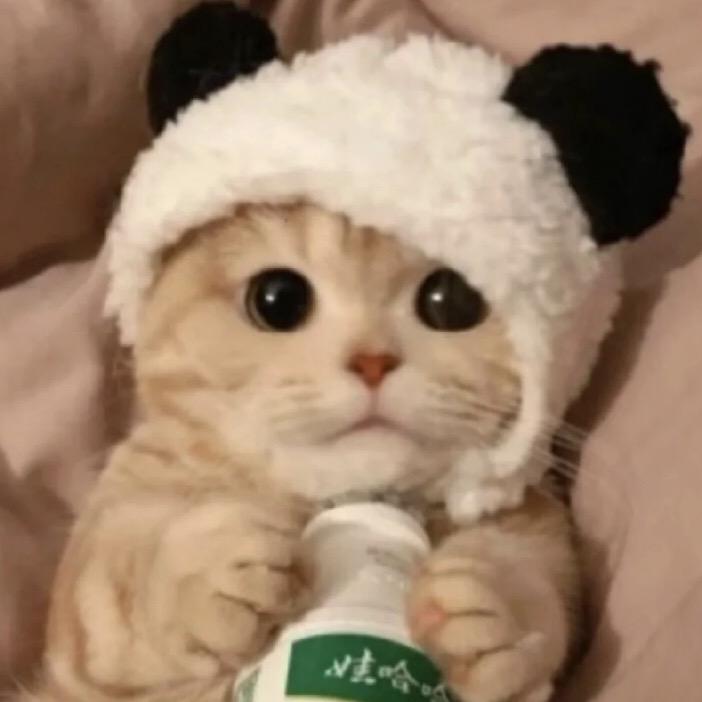 椰子美式🥥☕️