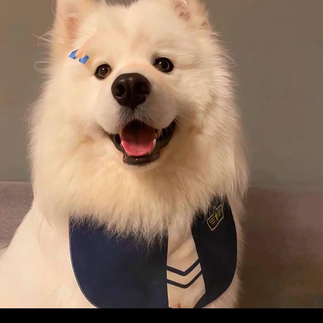 ㅤ       ㅤ