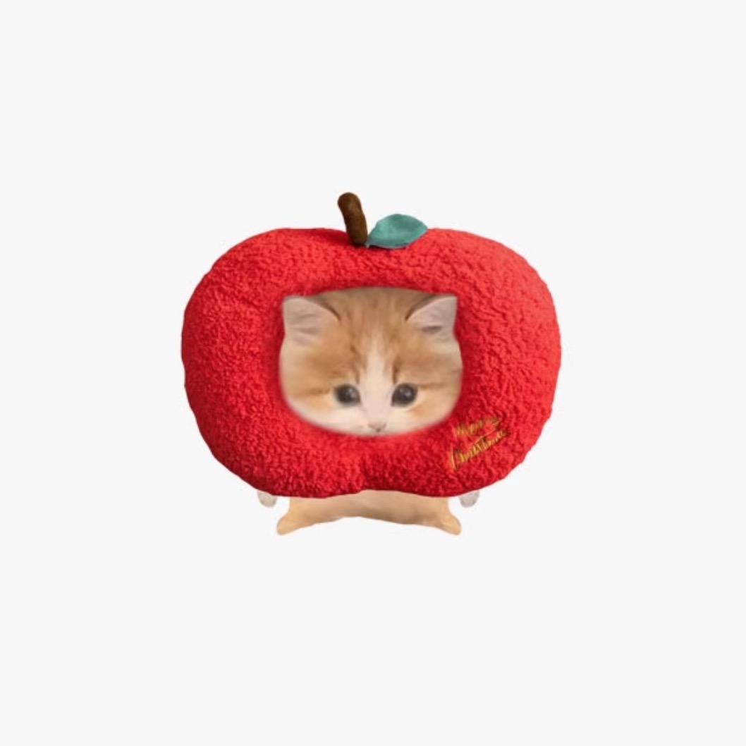 苹果猫猫派