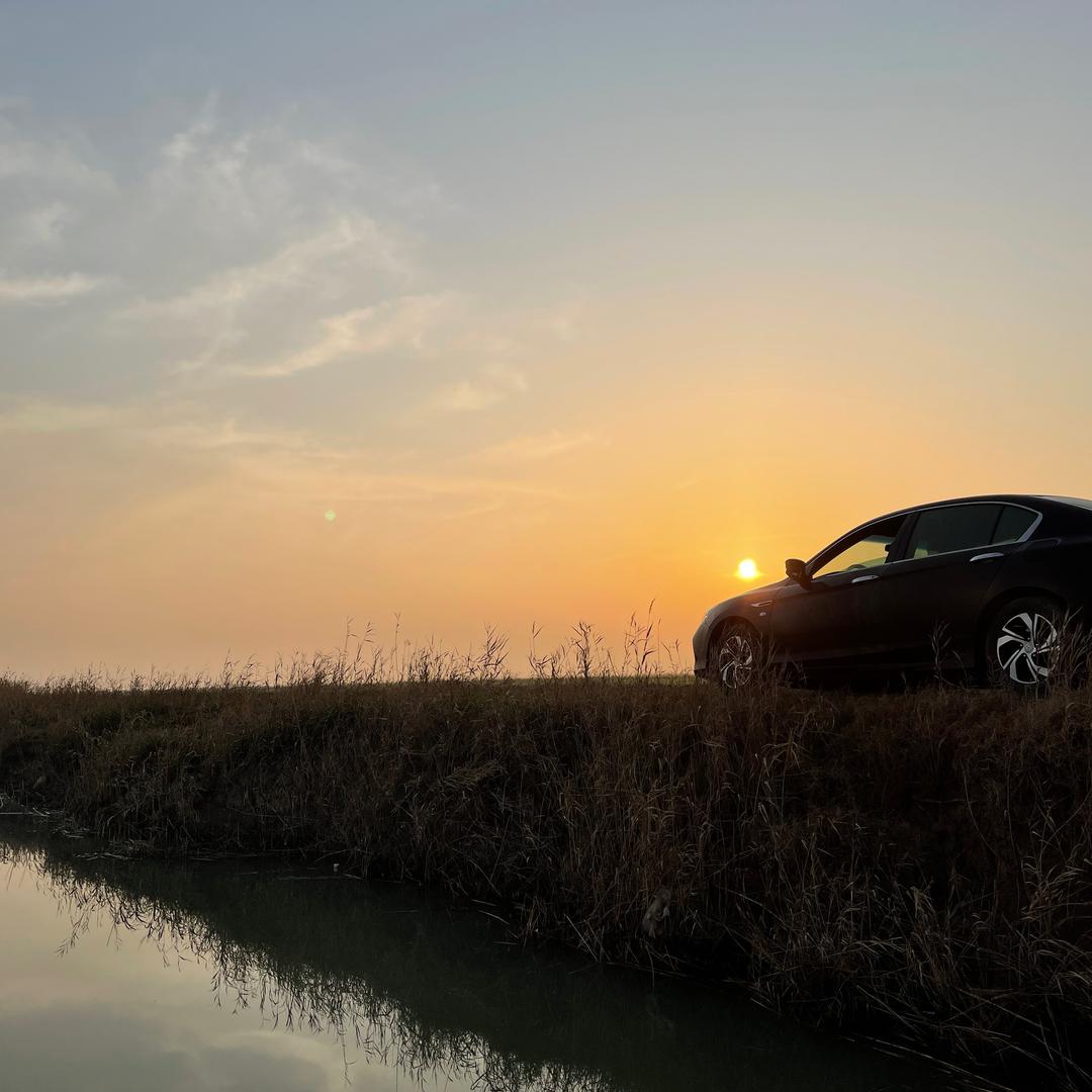 龙在沙滩被虾戏