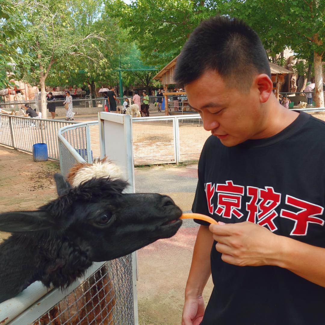 灰灰灰魔王🙄️