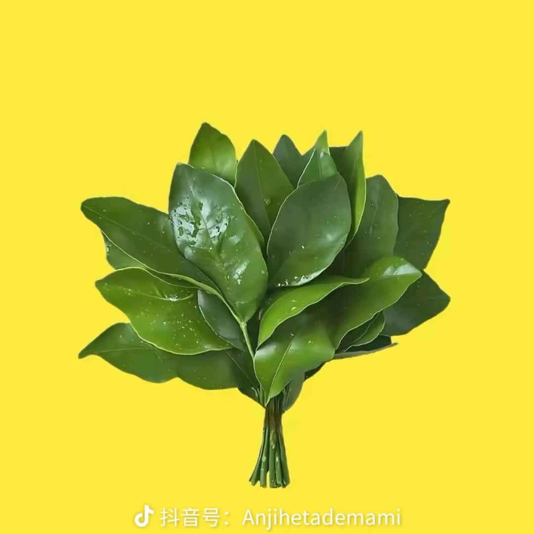 不开心就大口吃饭🍚