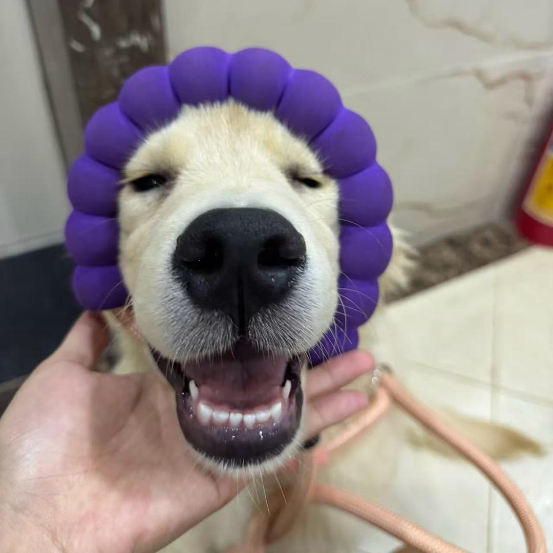 不会路亚的阿杰