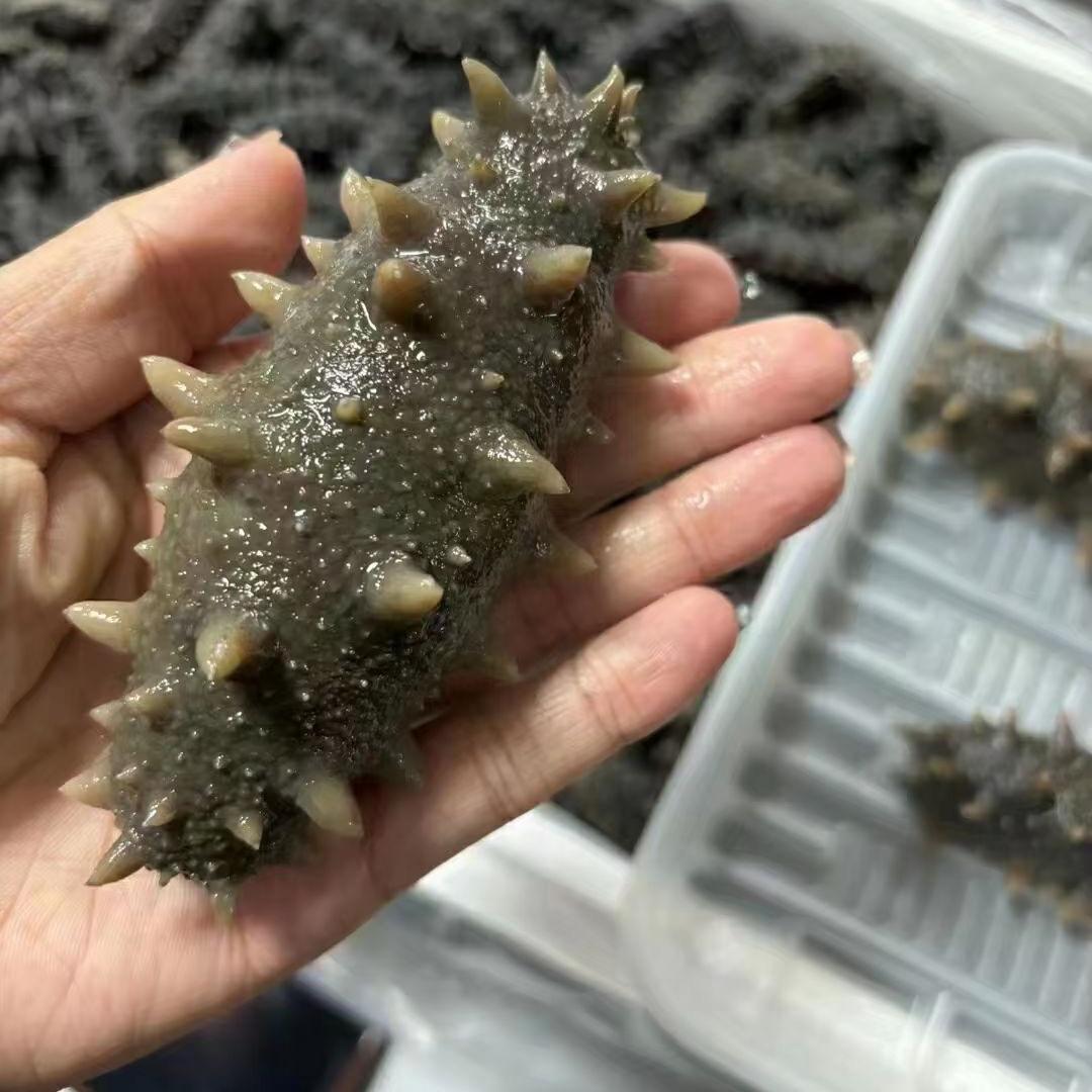 汇海海珍品官方号