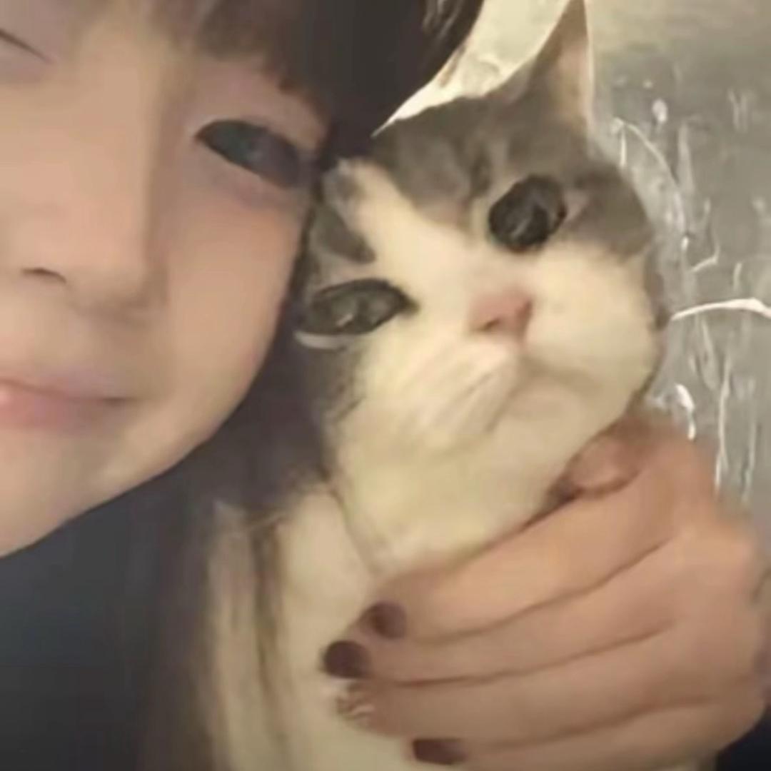 杨一一