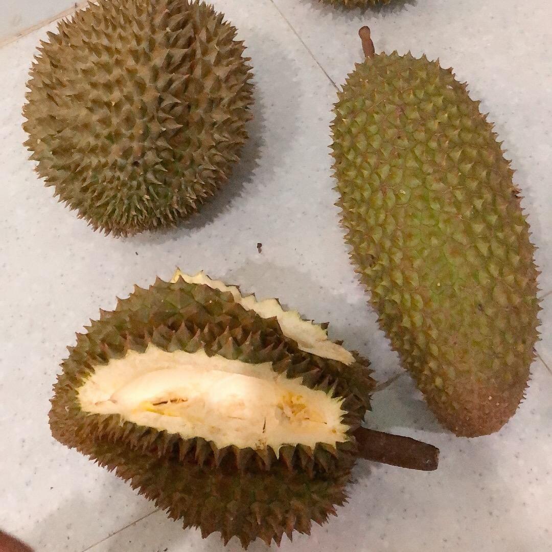 越南榴莲姐妹