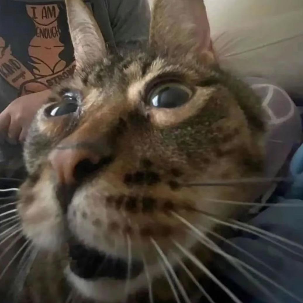 一位伤心的男人