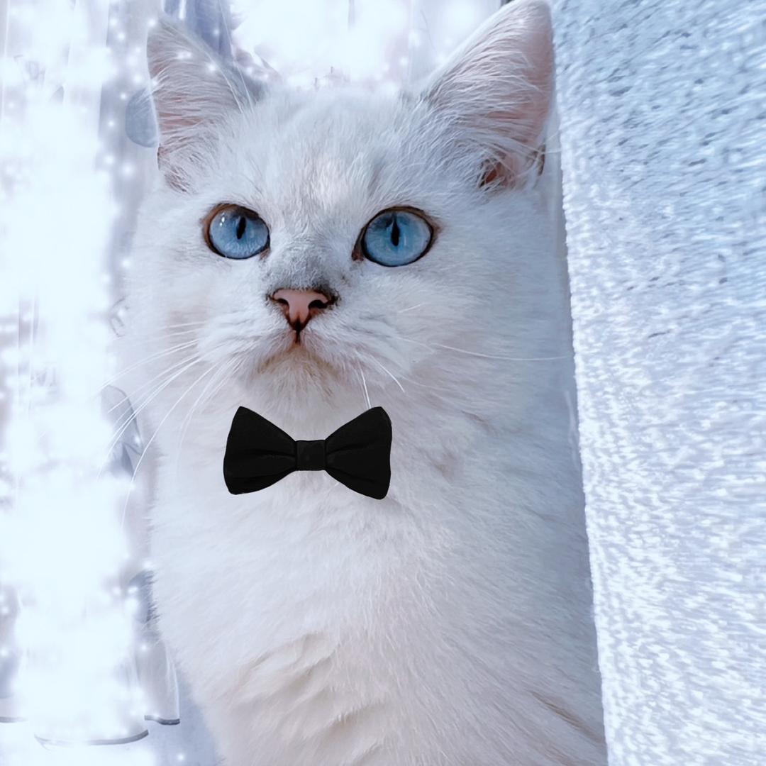 🌟星辰大海🌊