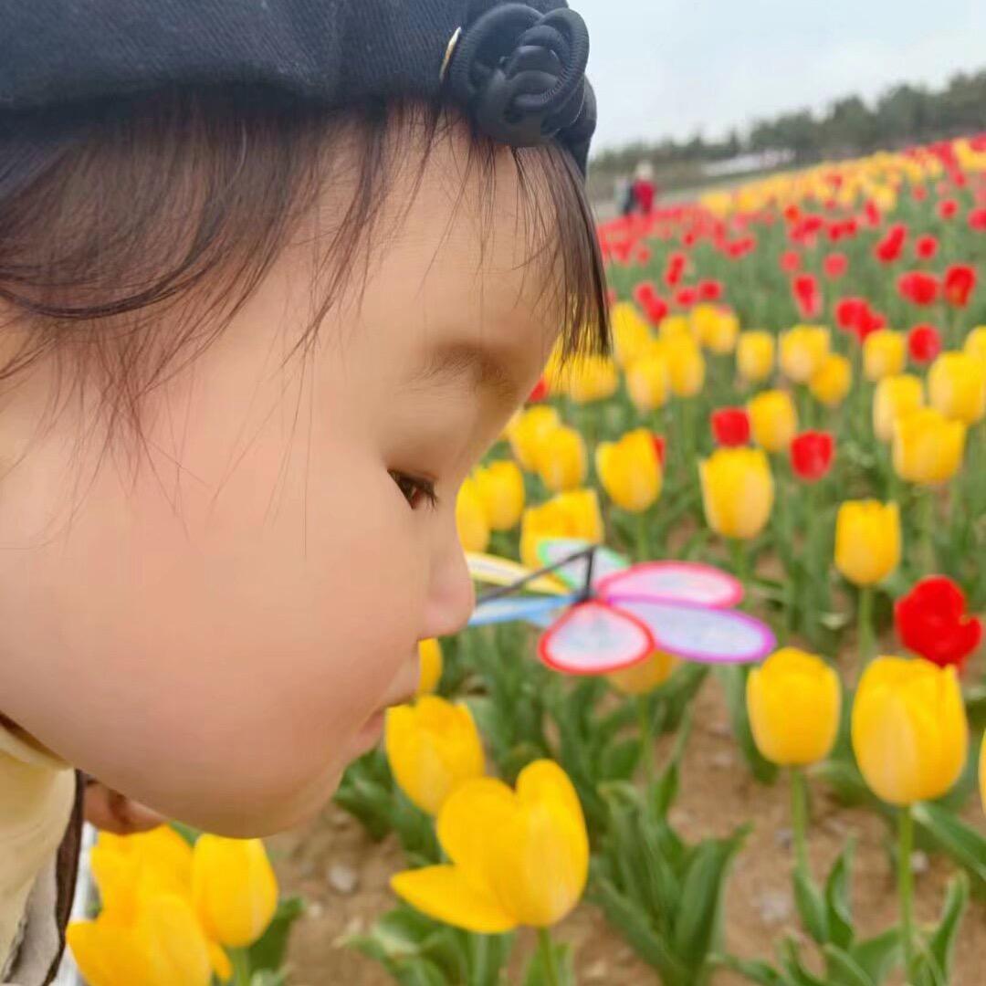 姜糖甜甜