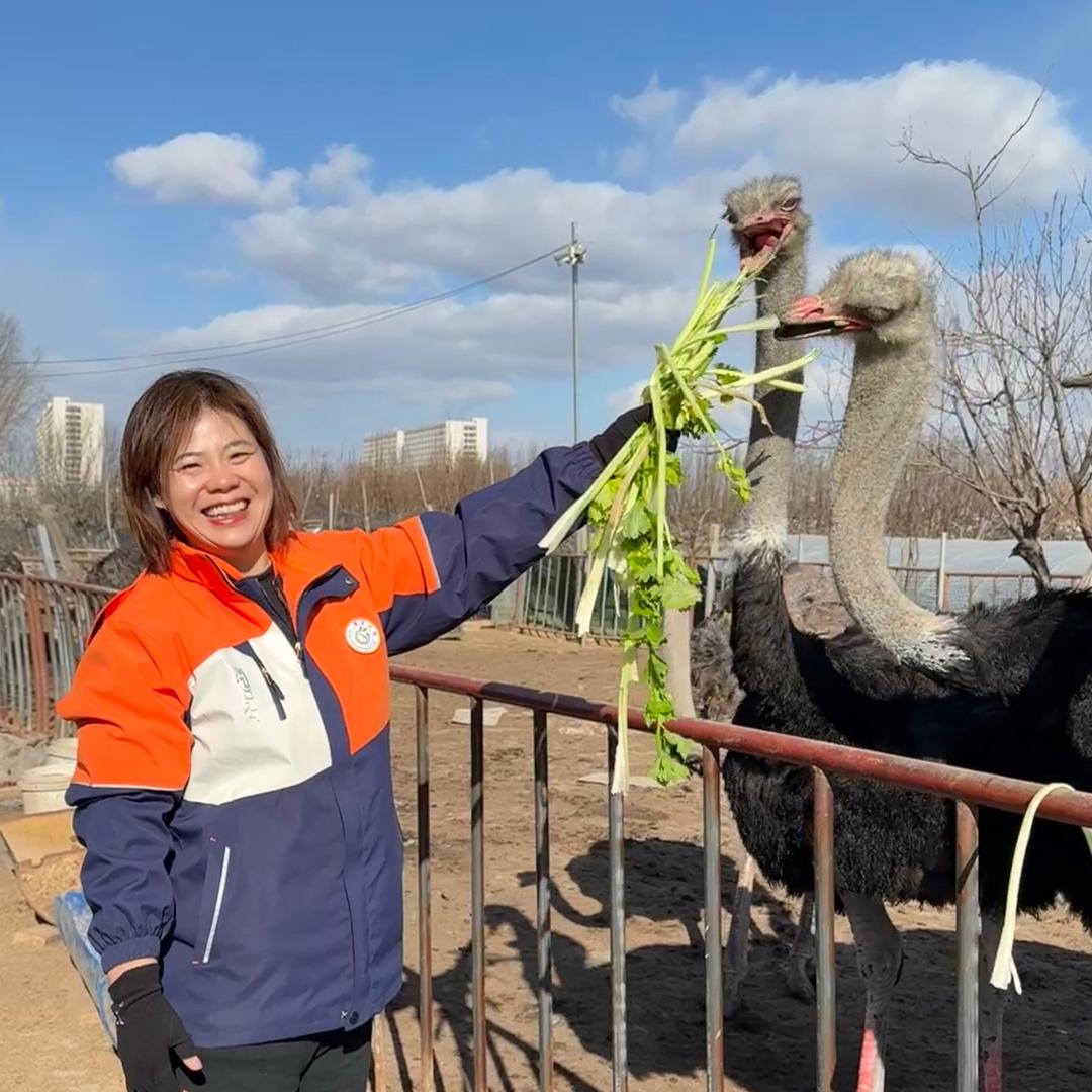 开农场的园长妈妈