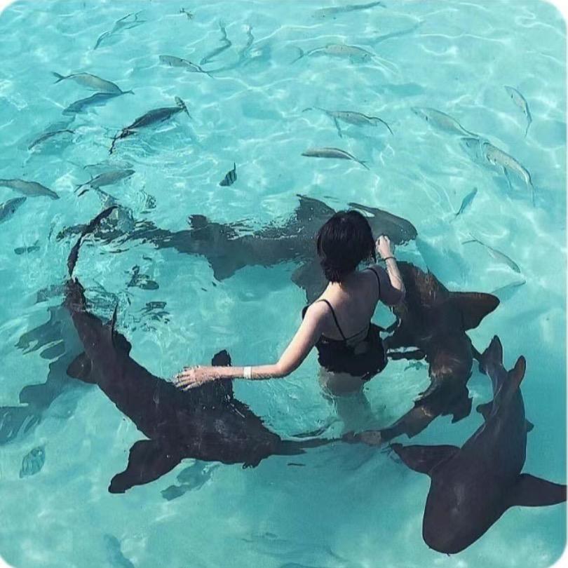 妍妍有点困