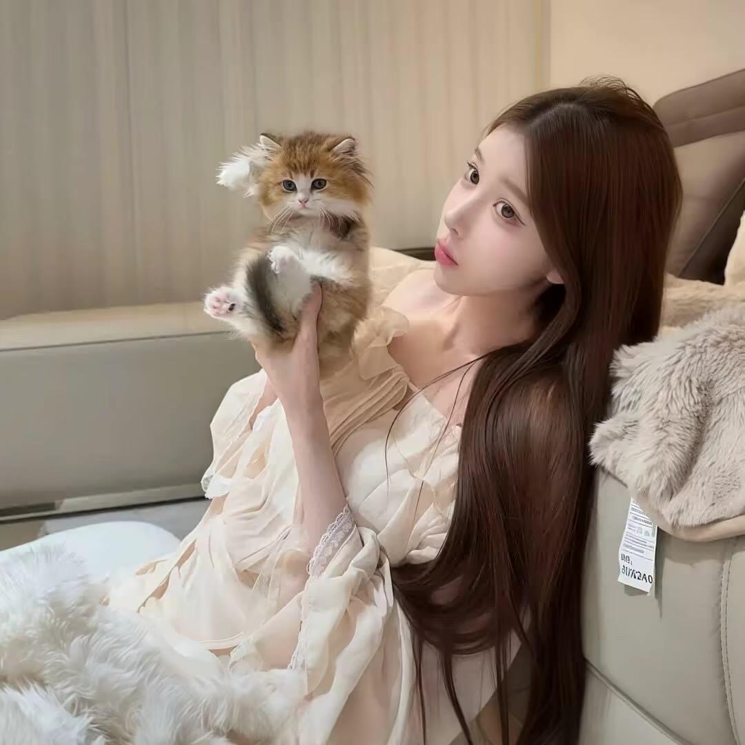 阳阳