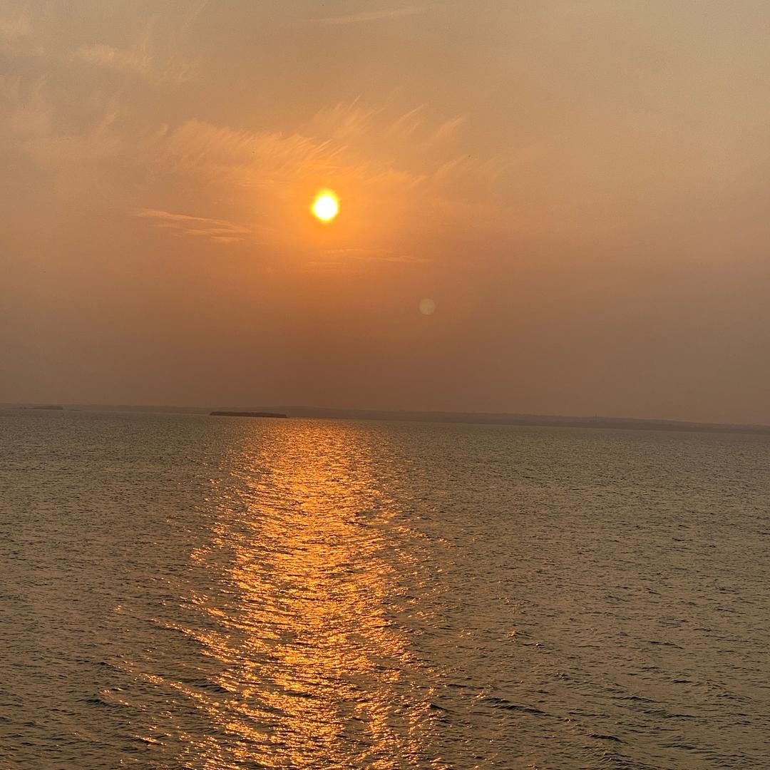 🐟坐岸观漂🎣